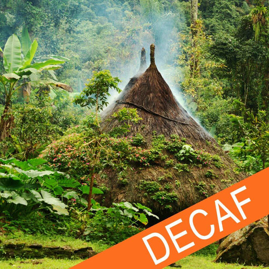 Ethiopian Mountain Water Decaf